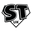 Super Training Gym logo